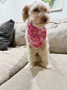 Dog Collar Bandanna
