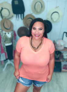 Ocala V Neck Top
