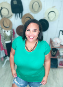 Ocala V Neck Top